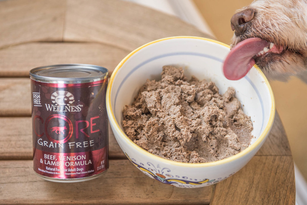 Wellness Products Guide: Dog Food Options and Health Shots