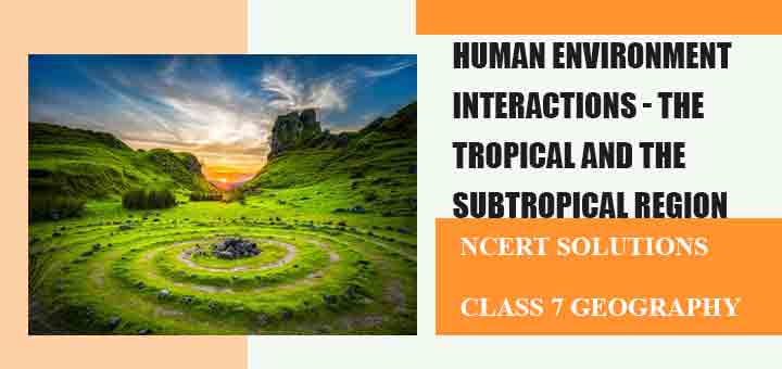 Human Environment Interaction in Geography: Complete Guide to Understanding Our World