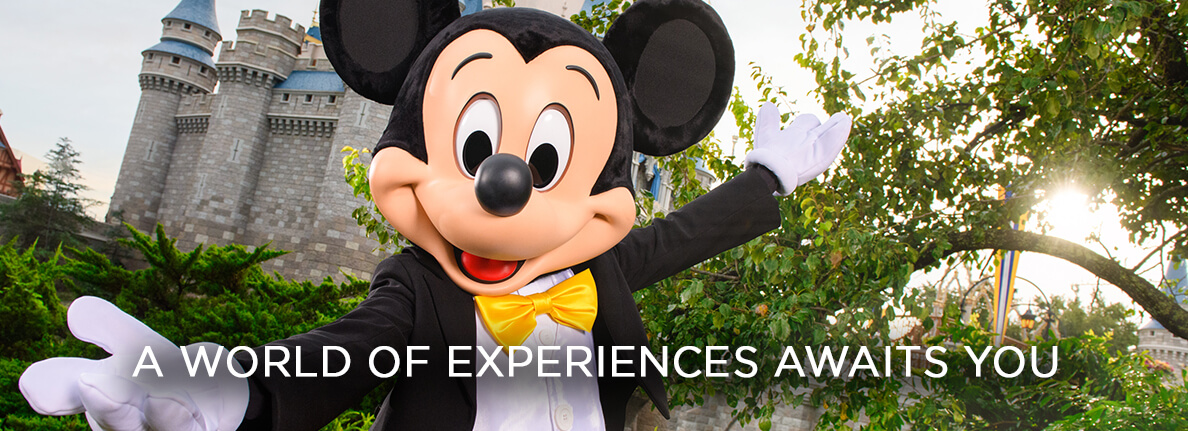 Disney Springs Pet Policy: Complete Guide to Bringing Your Furry Friends