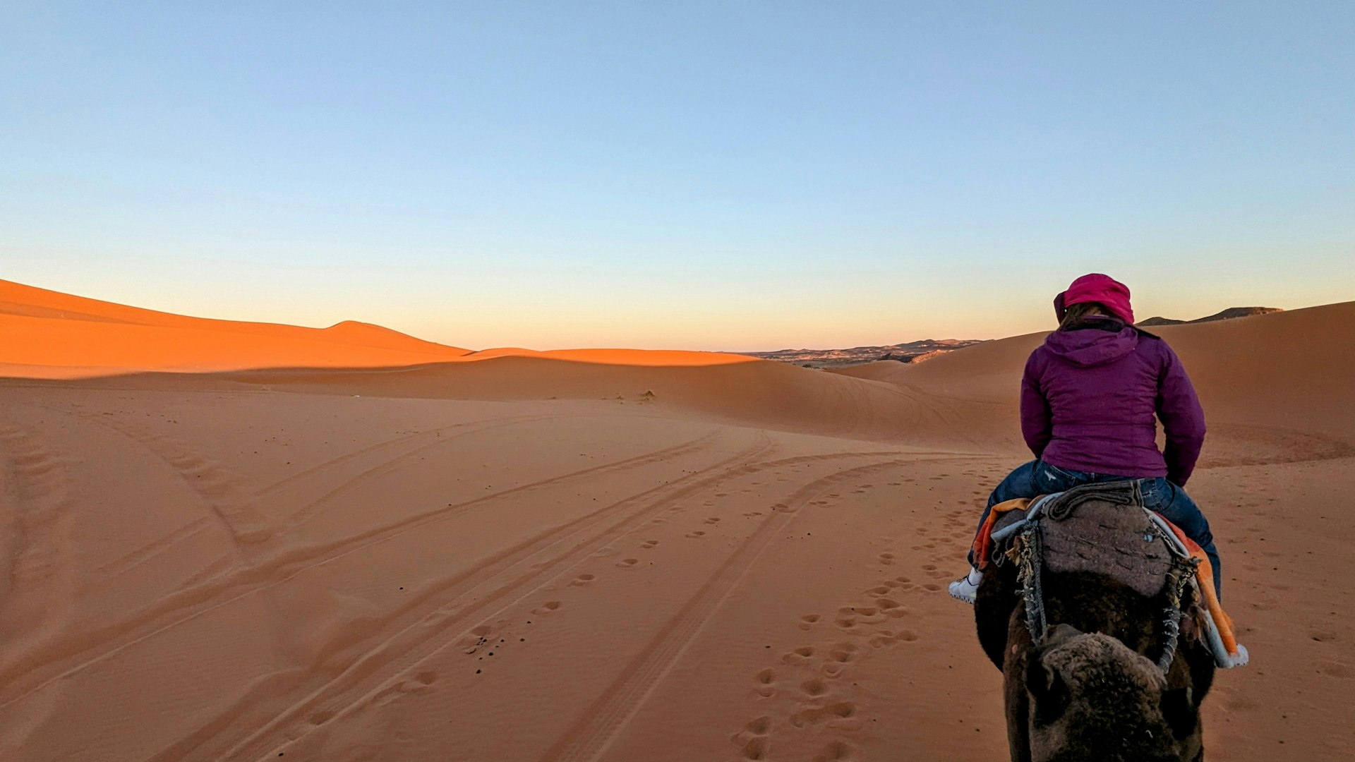 Unforgettable Desert Adventures: How to Experience the World's Most Unique Desert Escapes