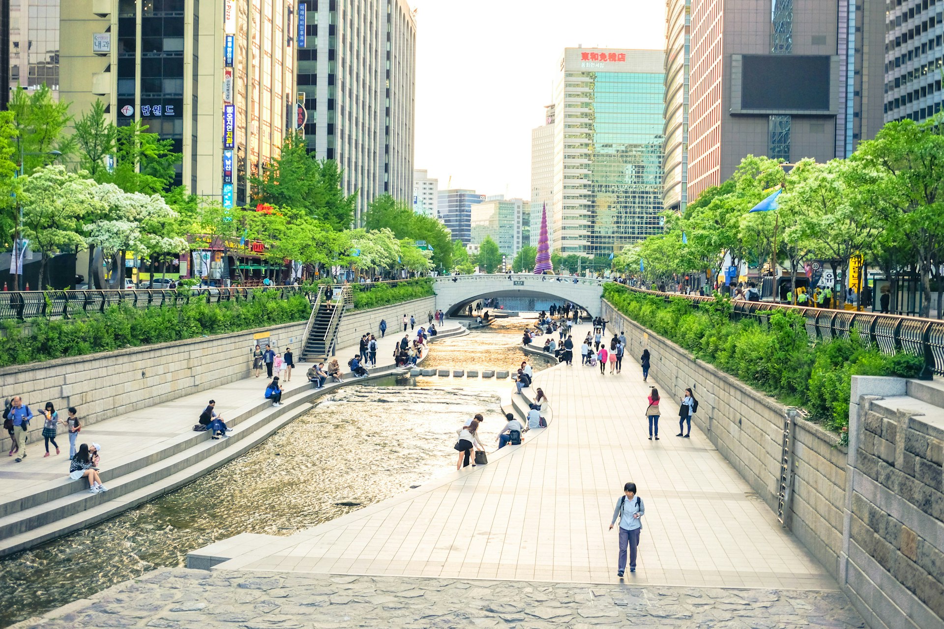 Designing Tomorrow's Cities: The Rise of Wellness-Focused Urban Planning