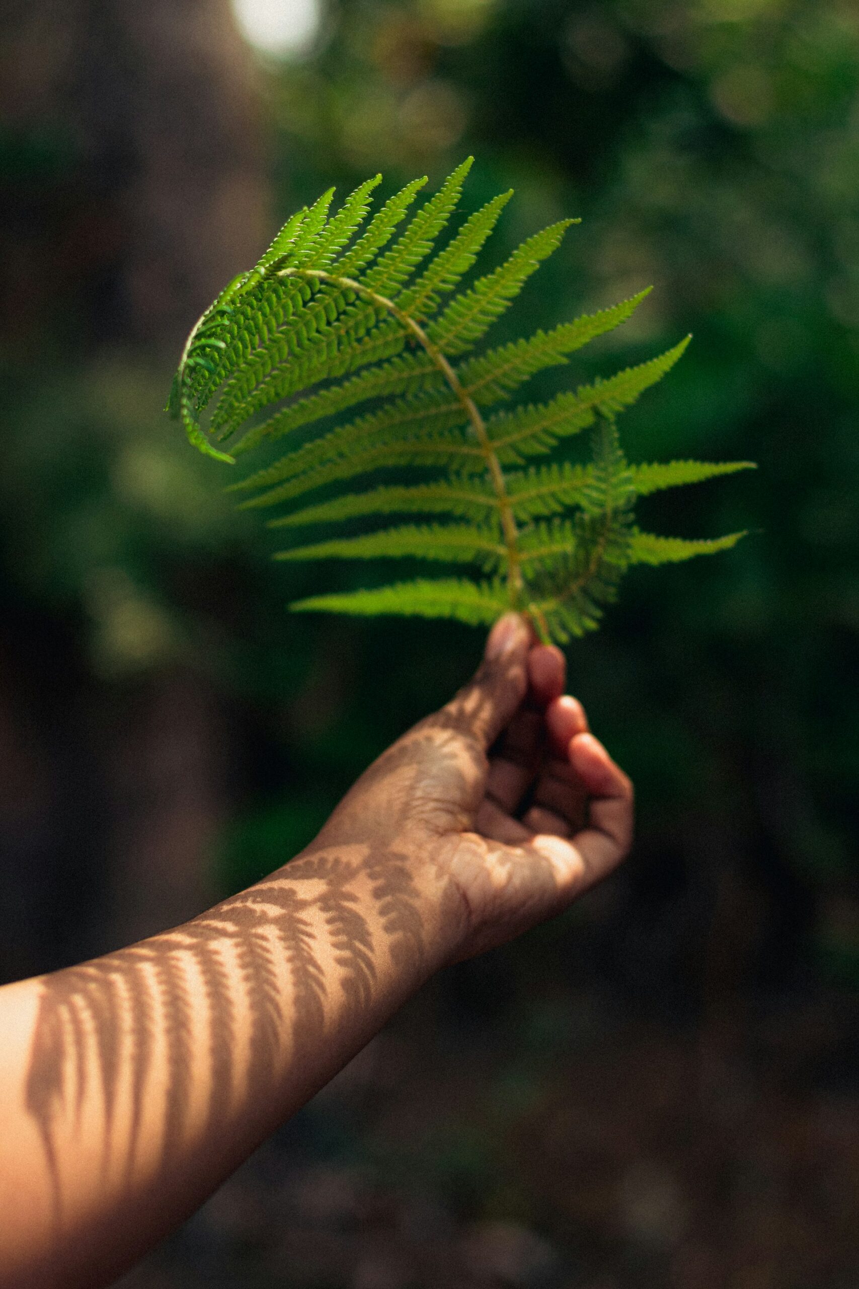 Unlocking Impact: Sustainable Storytelling Strategies for Eco-Friendly Brands
