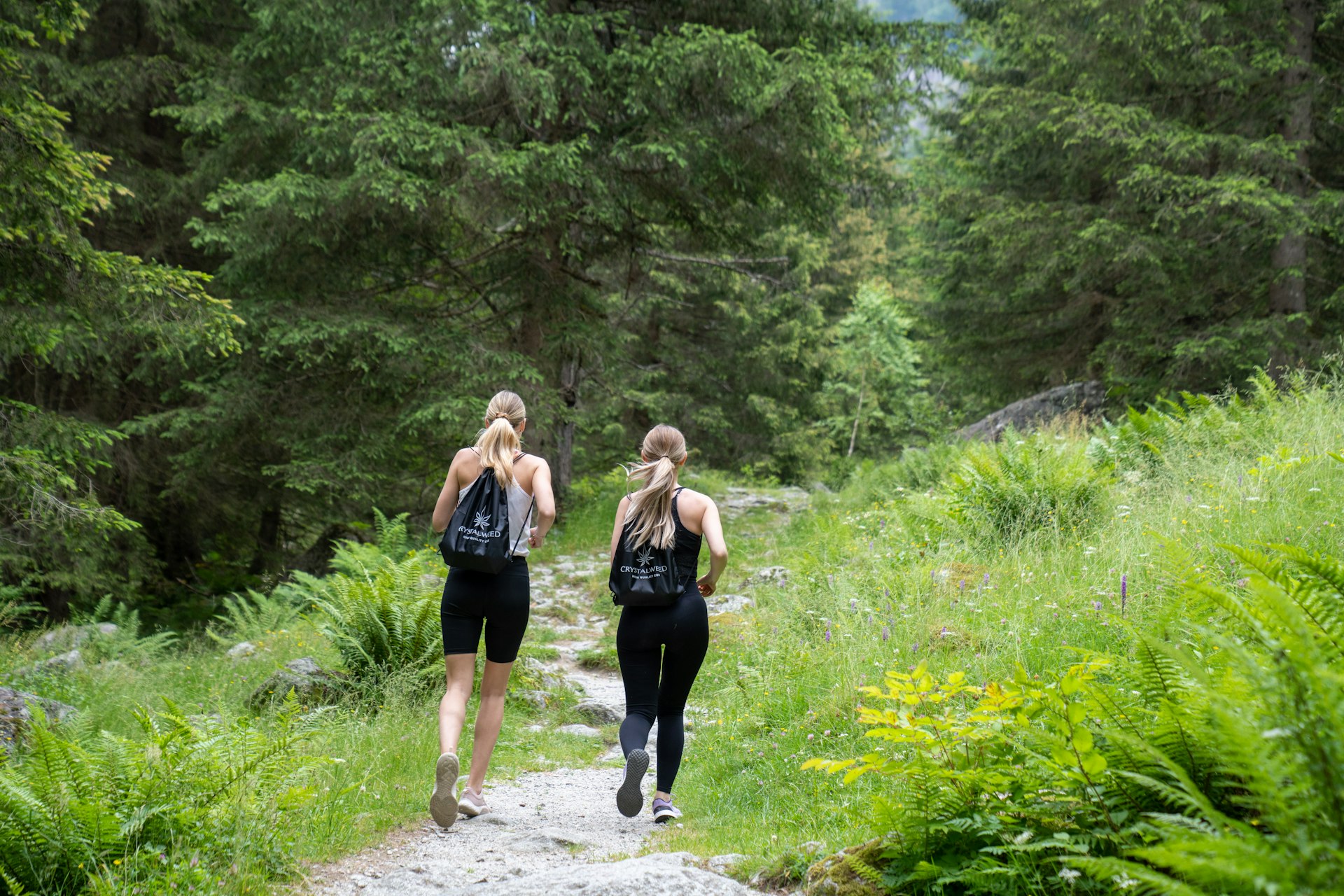 Transform Your Wellness Routine: Sustainable Fitness and Eco-Friendly Practices for a Healthier Planet